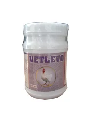 Grouper Business card