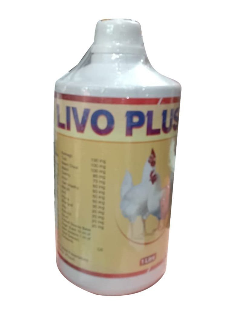 Grouper Business card