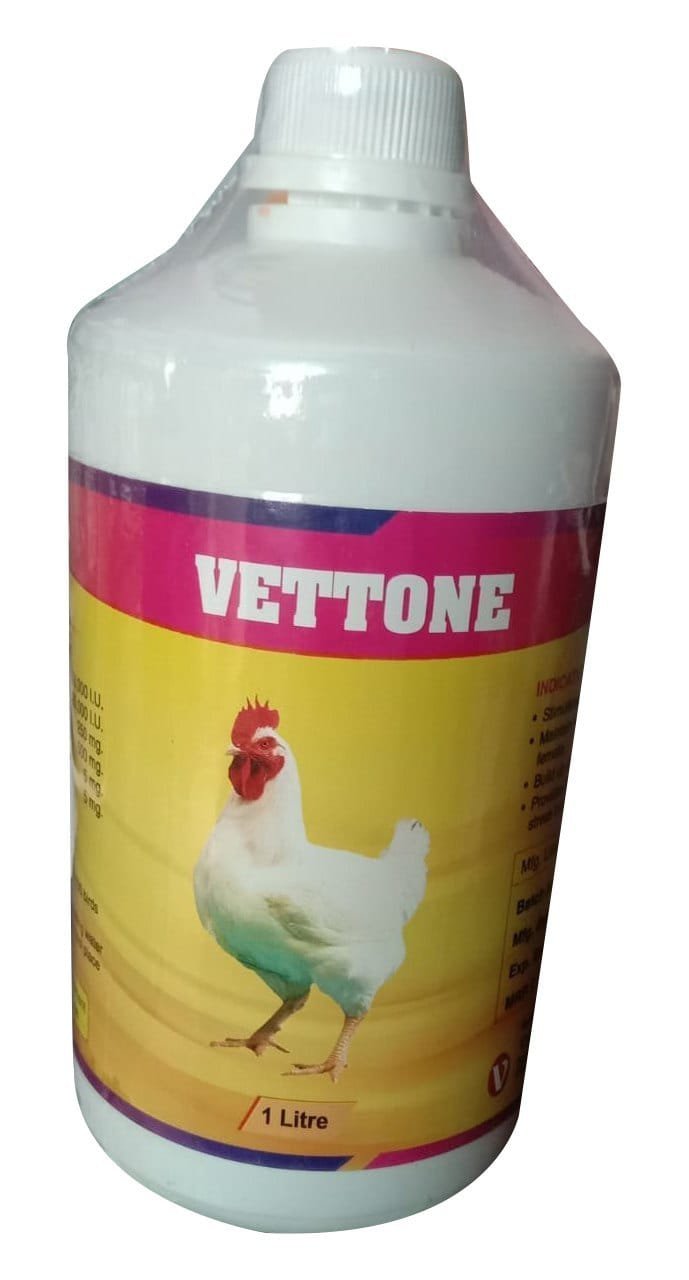 Grouper Business card