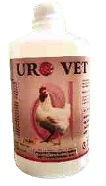 Grouper Business card