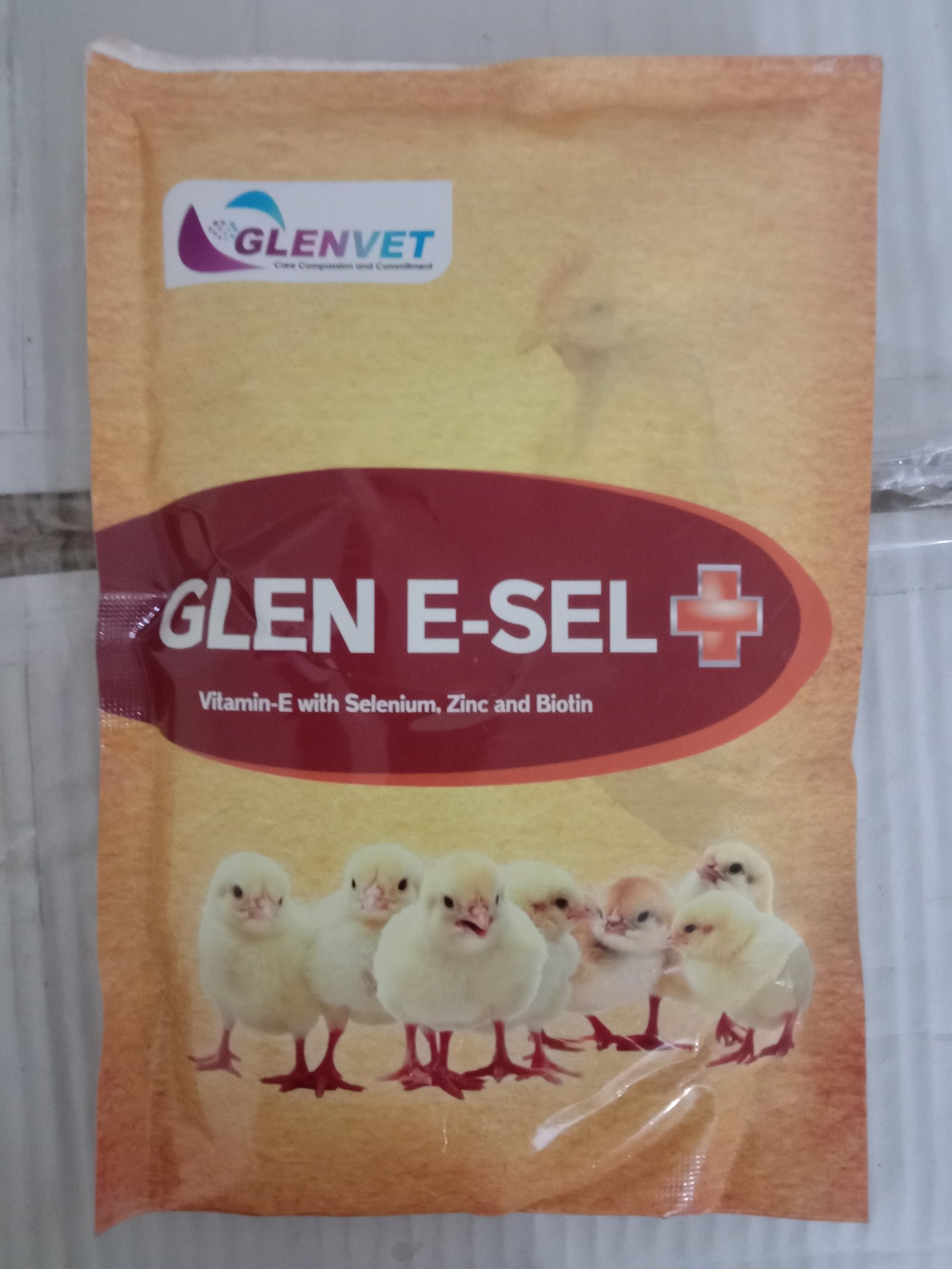 Grouper Business card